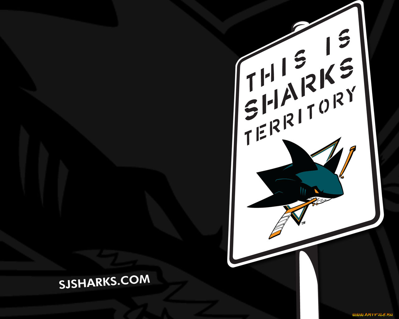 sharks, territory, , , 